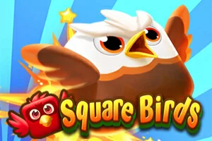Square Birds